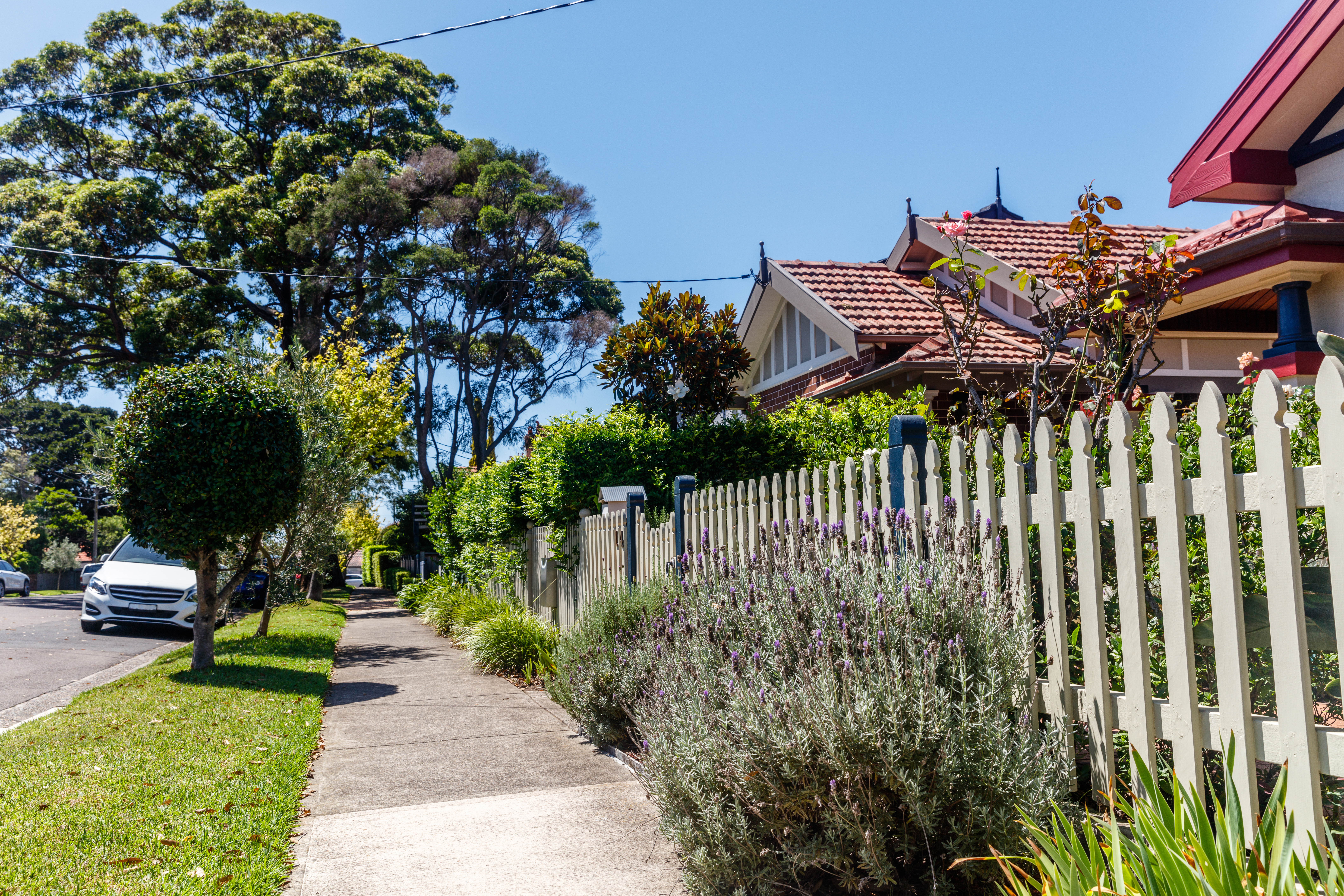 Suburban street in NSW, Sydney